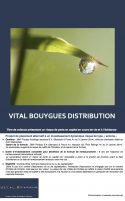 Vital Bouygues Distribution